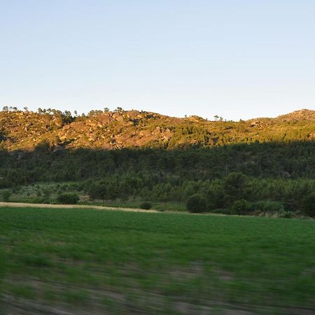 Pinheirinhos - Quinta De Sao Caetano Villa Carapito Bagian luar foto