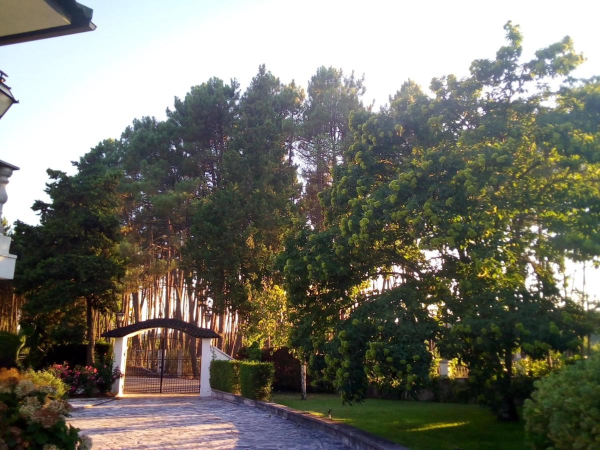 Pinheirinhos - Quinta De Sao Caetano Villa Carapito Bagian luar foto