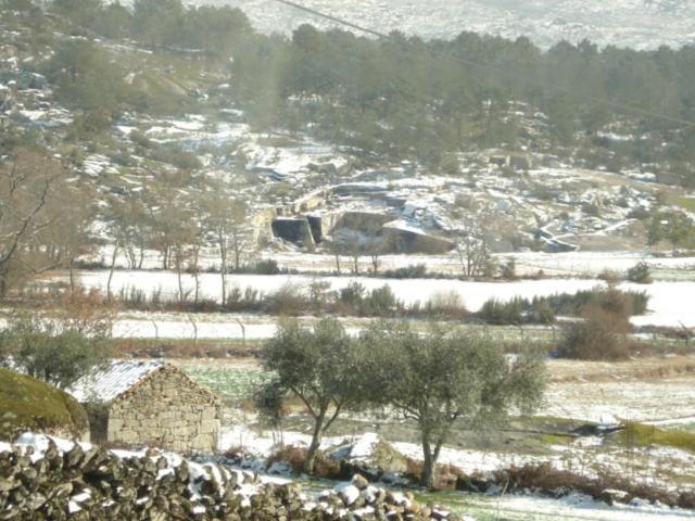 Pinheirinhos - Quinta De Sao Caetano Villa Carapito Bagian luar foto