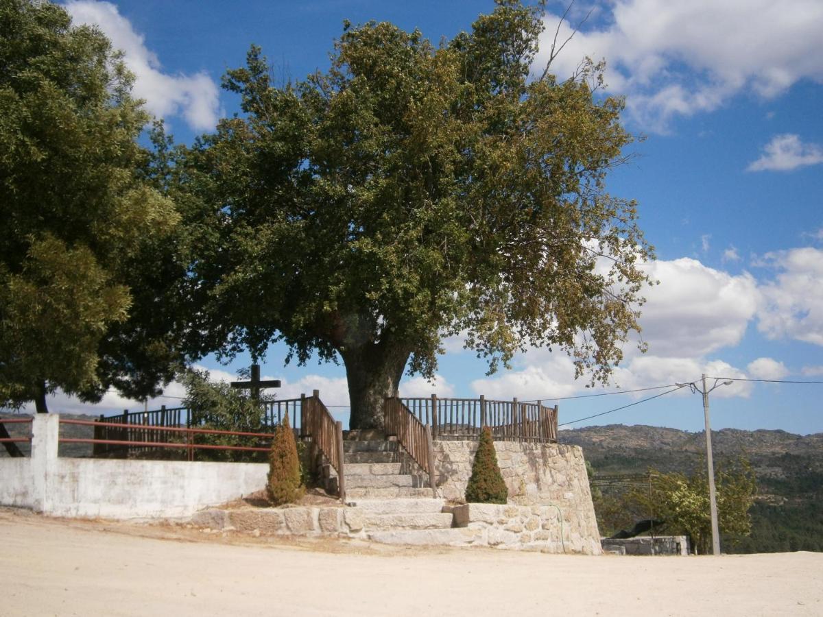 Pinheirinhos - Quinta De Sao Caetano Villa Carapito Bagian luar foto