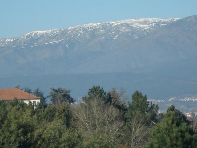 Pinheirinhos - Quinta De Sao Caetano Villa Carapito Bagian luar foto