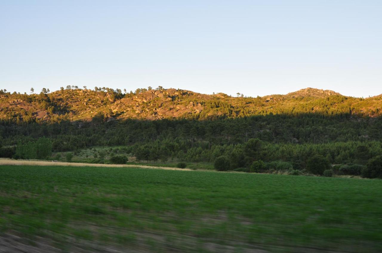 Pinheirinhos - Quinta De Sao Caetano Villa Carapito Bagian luar foto